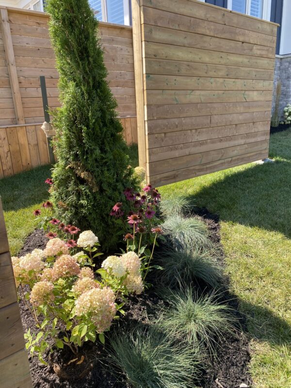 Privacy Fence with Perrenial Garden
